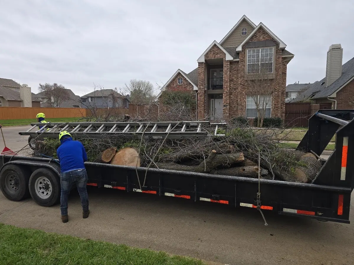 Expert Lot Clearing with proper safety equipment in Proctor
